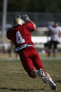 米兰体育官方网页版-球员心理状态是否影响战术执行精度，论运动员心理因素对排球比赛的影响  第2张